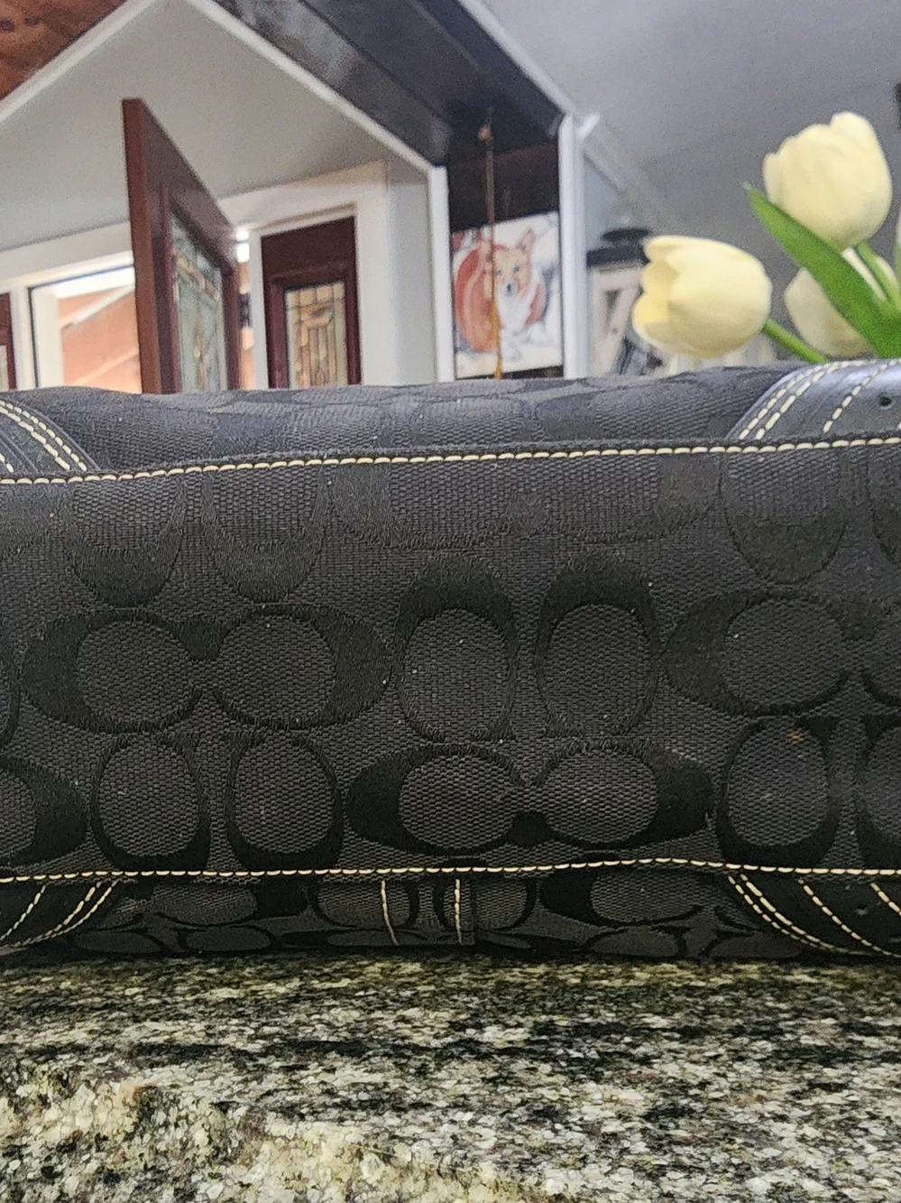 Coach Hampton Signature with Gold Horsebit Hardware & Accent Belt